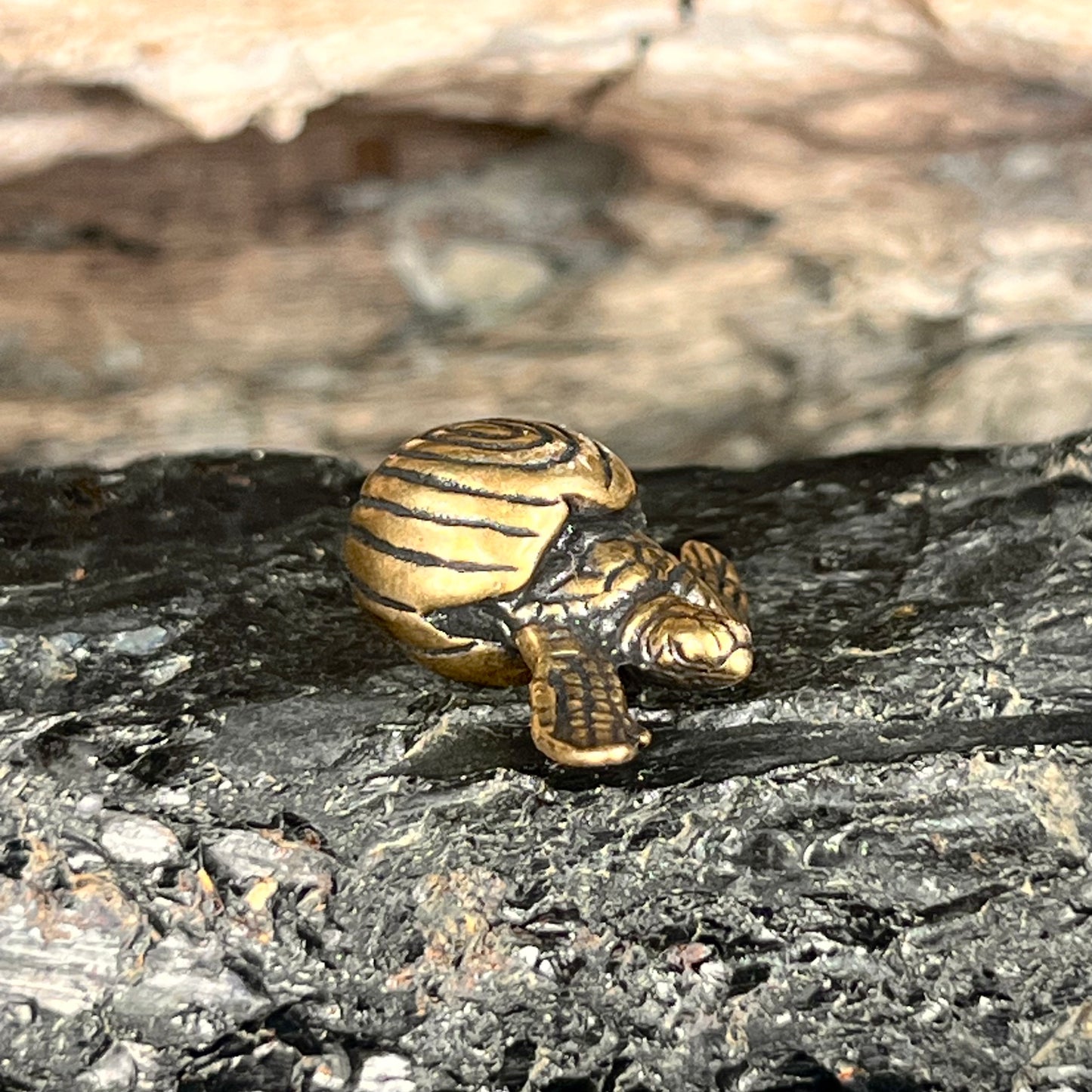 Small Brass Hatching Turtle