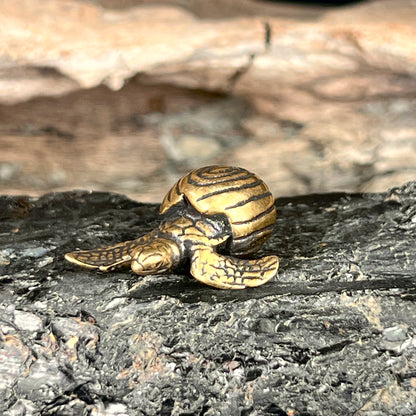 Small Brass Hatching Turtle